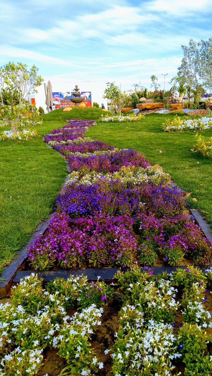 The Path to Happiness. Beautifully-designed gardens like this is one of the attractions to the show #YanbuFLowersFestival2019
