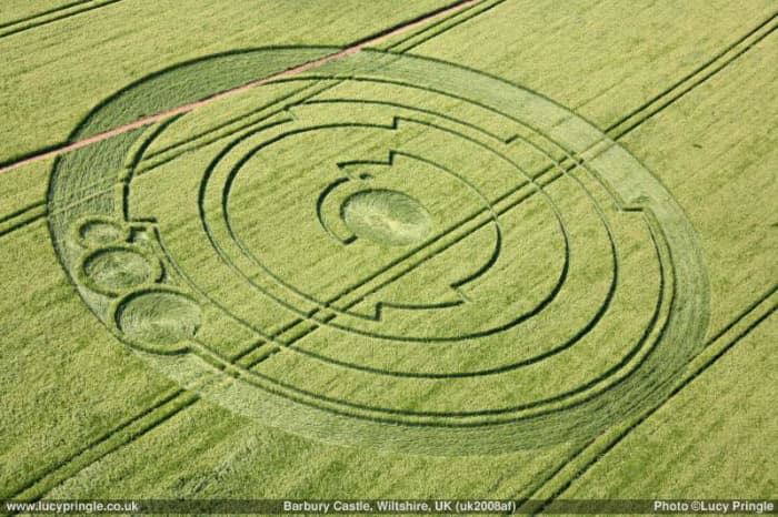 Crop circles add spice to alien conspiracy theories.