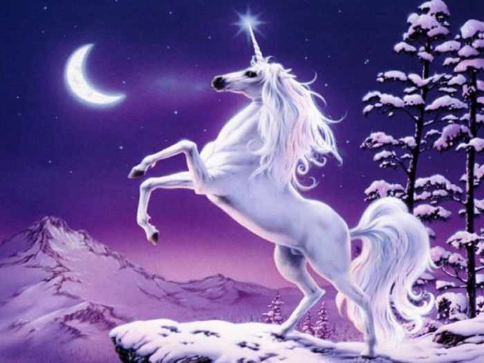 Did Unicorns Really Exist? HubPages