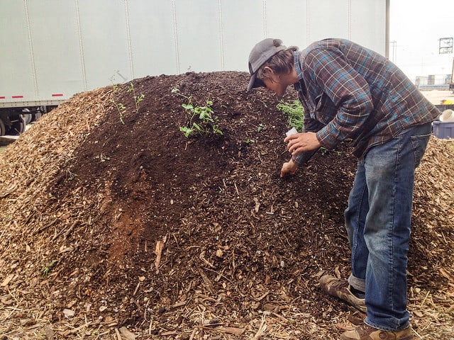 This is a hugelkultur bed being planted. Notice how the bed is tall and steep. It does not require as much stooping or kneeling for gardening.