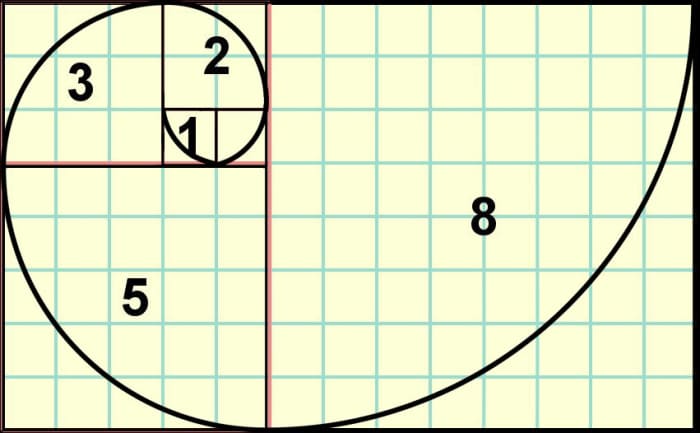 5 Mathematical Patterns in Nature: Fibonacci, Fractals and More - Owlcation