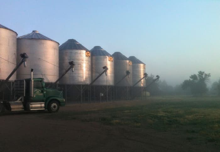 My husband and I erected all of the bins in this row. I look forward to the serenity of an early-morning job site, and count grain bins among our happiest projects.