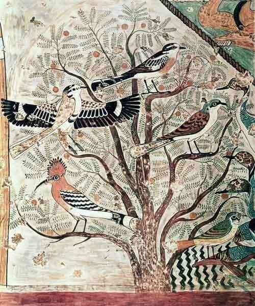 Birds on an acacia tree, wall painting from Tomb of Khnumhotep III. He was an Ancient Egyptian high steward and vizier of the 12th Dynasty.