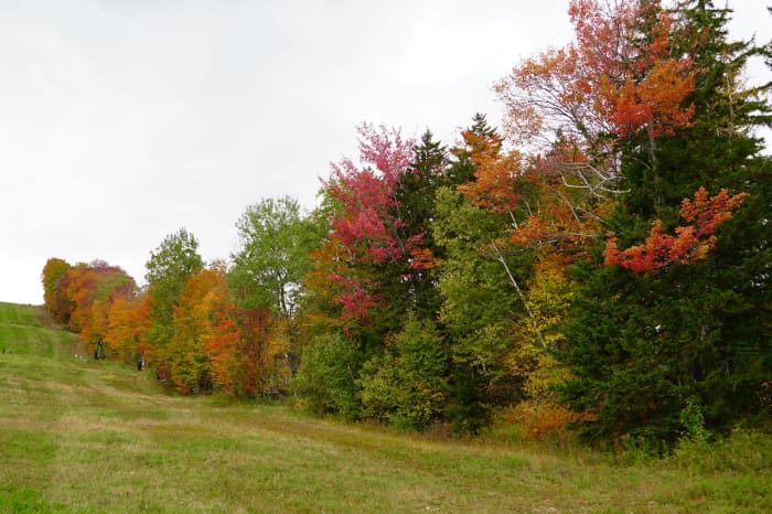 A Fall Foliage Tour Of Southern Vermont, Including Mount Snow ...