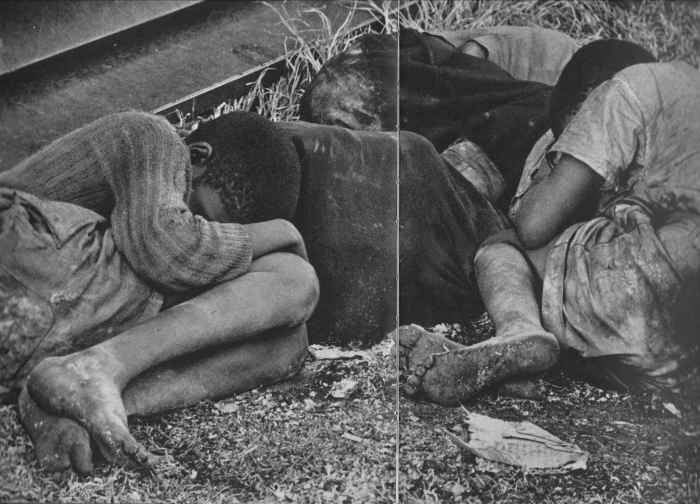 Homeless children who sleep anywhere, in drainpipes, junk yards, and anywhere. In this picture, taken at dawn, they lay shivering in a park.
