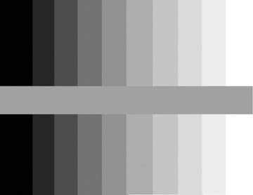 This is a Value Scale, also known as a Grey Scale. The center color that runs horizontally through the scale is a medium color grey. Look how it changes when it is next to the other values.
