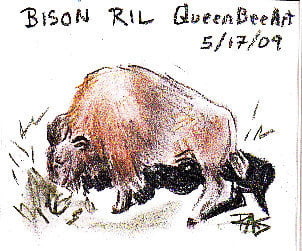 Bison drawn from an image posted to the Reference Image Library on http://www.wetcanvas.com by WC member QueenBeeArt for members to draw from, drawn by Robert A. Sloan.