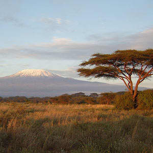 Kenyan game reserve with Mt Kilamanjaro (in Tanzania) in the distance. Kilamanjaro is 3 degrees south of the equator.