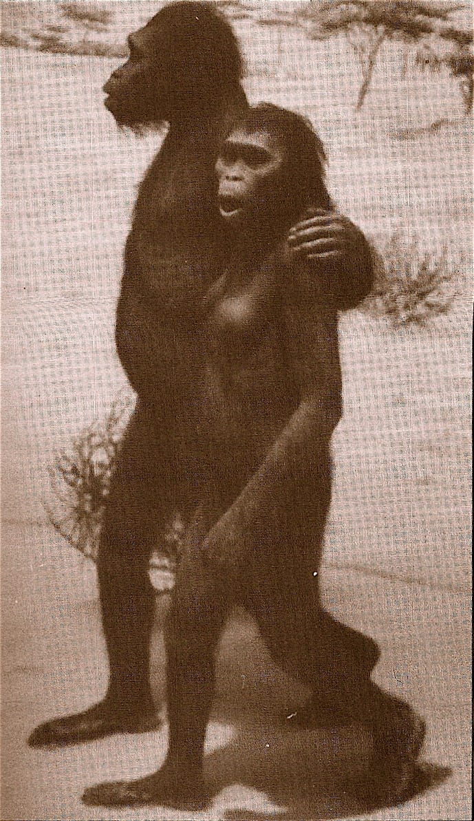 THIS EXHIBIT AT THE NATURAL HISTORY MUSEUM IN NEW YORK IMPLIES TO CHILDREN AND ADULTS THAT IT IS A DEPICTION OF OUR ANCESTORS
