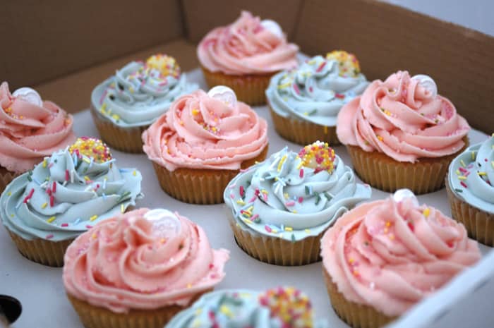 A Guide to the Best (& Worst) Cupcake Containers - HubPages