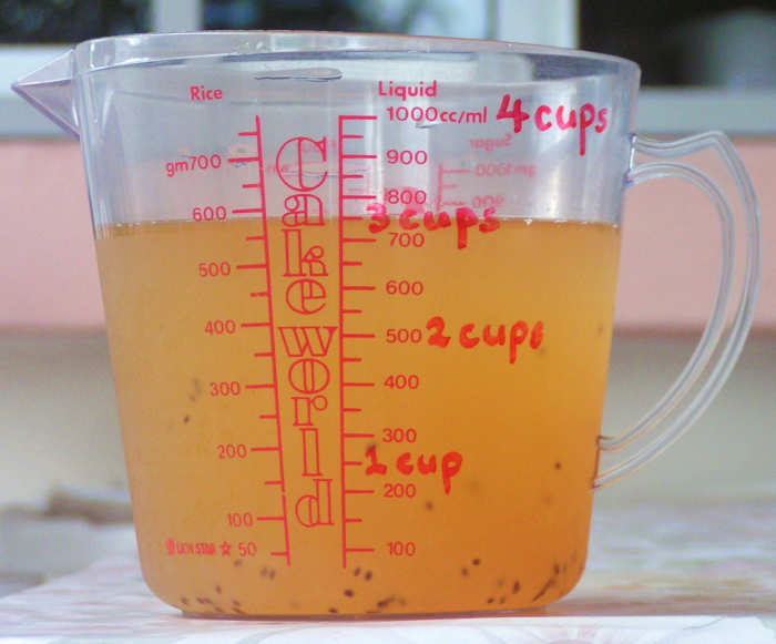 Fruit Enzyme Recipe Aloe Vera, Apple And Kiwifruit HubPages