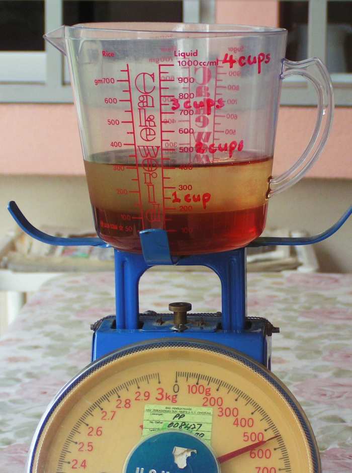 Fruit Enzyme Recipe Aloe Vera, Apple And Kiwifruit HubPages