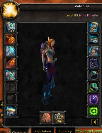 Please excuse my transmog... I haven't gotten around to getting my final pieces so some things stick out lol.