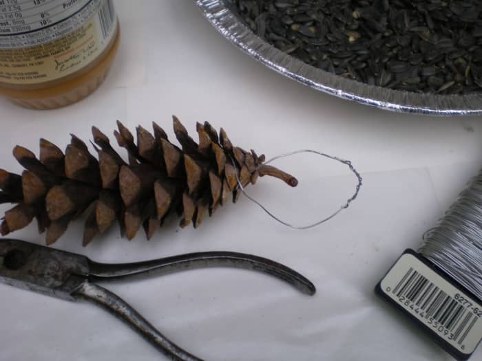 Wrap wire around top scales of pine cone and secure a hanging loop by twisting wire ends together.