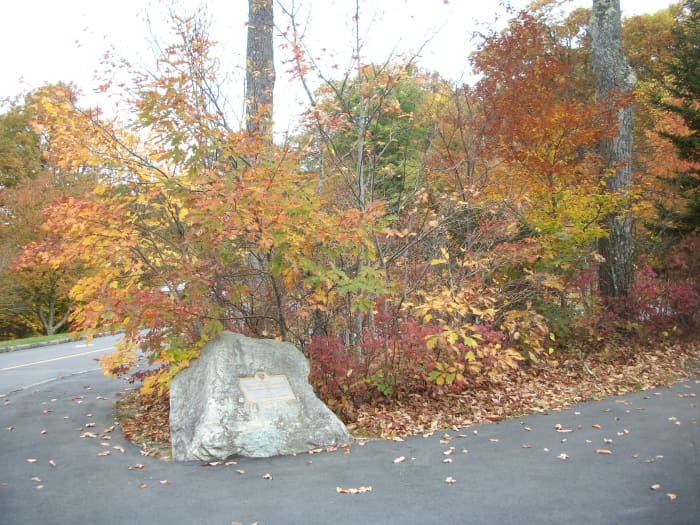 This photo was taken in the parking lot of the Linn Cove Viaduct Visitor Center. There is an entrance to the Tanawha Trail which goes right underneath this famous bridge.