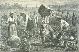 Lighter skinned enslaved Africans were given house assignments while darker skinned enslaved Africans were given field & other undesirable assignments.Darker skinned enslaved Africans were subjected to THE WORST treatment.