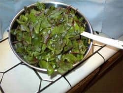 The egg mixture is at the bottom as I place the torn chard on top to mix in.