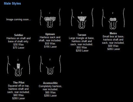 Brazilian Wax Men's Pictures (hairless on shaft, and base of shaft only, hairless sack shaft, rear included, tarzan wax, metro brazilian wax, pilot brazilian wax, acomoclitic wax, completely hairless bikini wax)