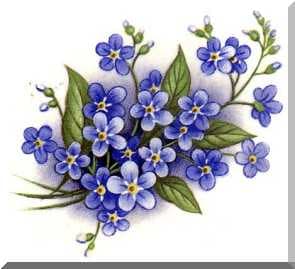 Forget-me-not flowers. Don't forget to remember Summer and it's promise, it's sandy enjoyable warmth and fun.