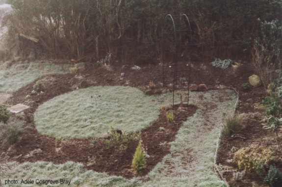 The garden slowly begins to take shape. The central path is just to the left of the circular lawn - you can just see the corner where it starts. Later on, this path was continued up to the rear border. This photo was taken circa. 2001.