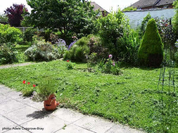 One view across the garden from the patio in 2007. Already the planting around the circular lawn begins to create a private area.