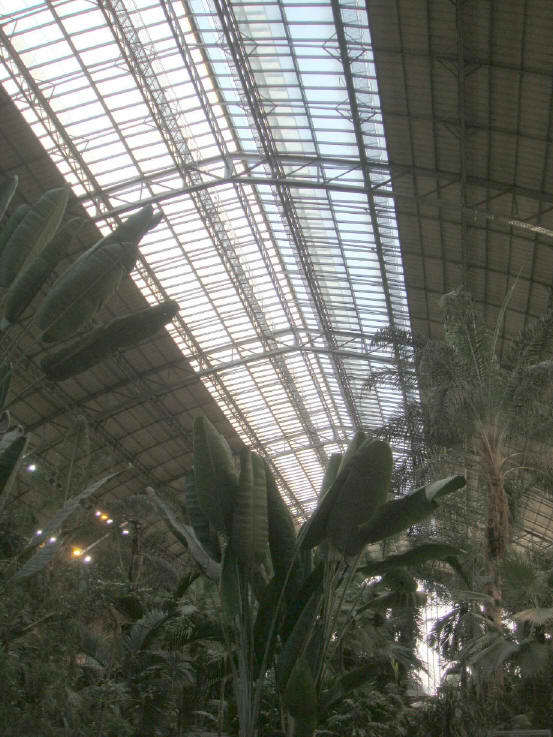 Don't forget to look up at the glass roof. Its the original one from 1851, it needed repairs though.