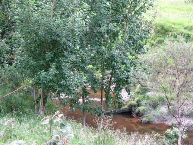 This is the river beside my house that causes me so much heart ache. It is beautiful when not in flood. Photo Credit - Elsie Hagley