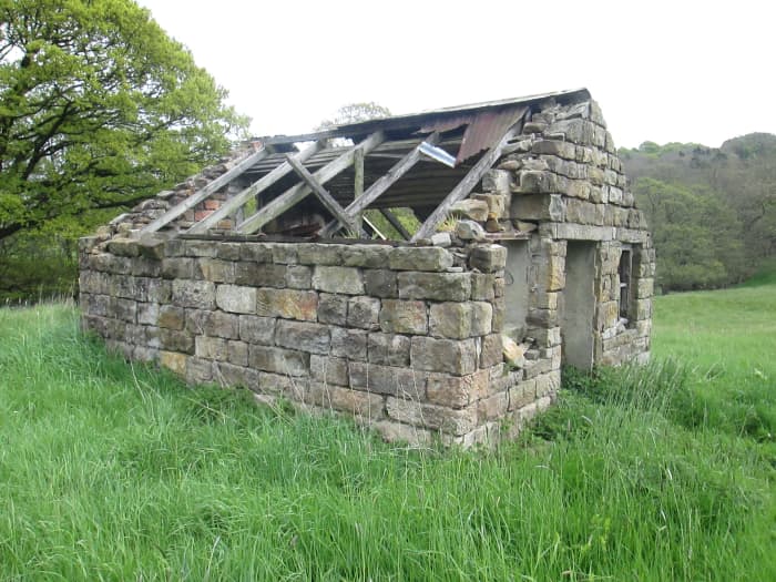As I strode along the old trackbed of the Whitby & Pickering Railway, abandoned in the early years of the 20th Century, I crossed a small pedestrian/bridle bridge and took this and the following pictures for a project.