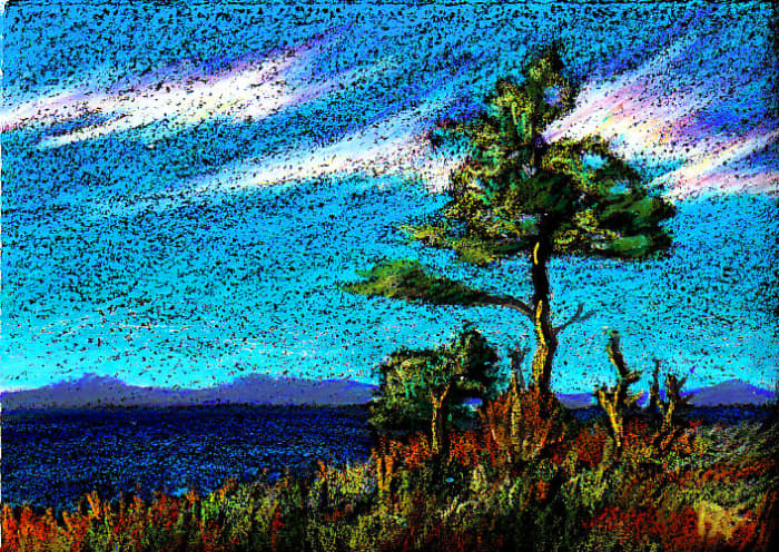 A Lone Tree, 5" x 7" in Neocolor II watersoluble oil pastels on black Colourfix paper by Robert A. Sloan