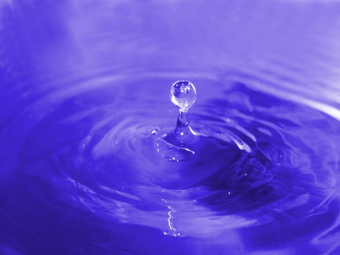DRIPs or dividend re-investment programs are an important part of an investment portfolio containing dividend-paying securities.