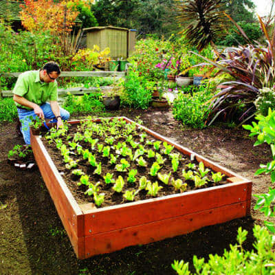 Raised bed gardening allows for easy access to what you grow and it helps in heat retention and weed control. Use some mulching and you have a real winning combo.