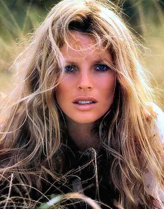 Kim Basinger was one of Hollywood's most in demand leading ladies in the 90's.