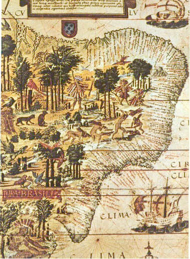 Detail of Terra Brasilis map, from 1519, with Brazilwood represented along the coast of the Atlantic Forest
