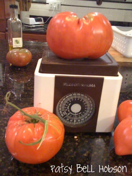 Find lots of tomato plants that will produce juicy red one pound tmatoes, including Granny Cantrell.