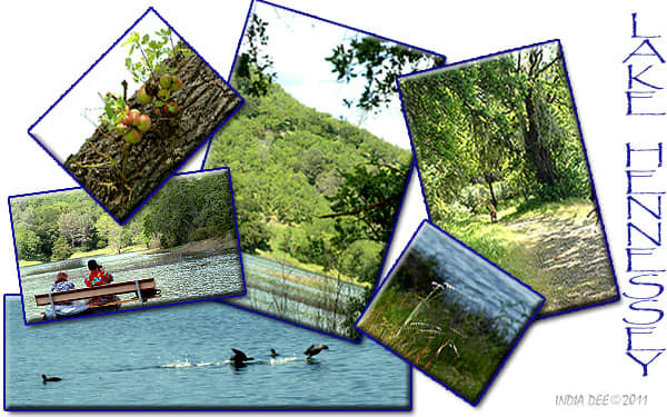The scenery surrounding Lake Hennessey makes for great pictures and simple quiet picnics.
