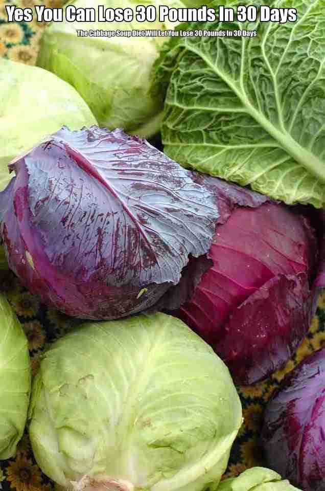 By Using The New And Improved Cabbage Soup Diet You Can Lose 30 Pounds In 30 Days. It Really Is Possible.
