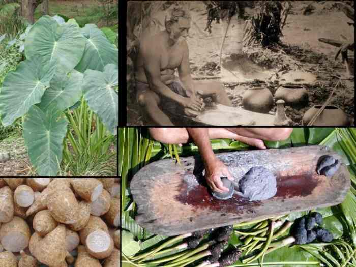 Ancient Hawaiian foods. Pounding the taro to make poi (bottom right).