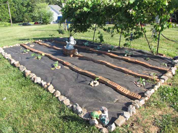This is the after photo showing plants in front of and behind our book-loving angel statue, Fred.