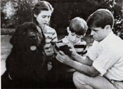 In this scene, Bobby's children (played by Shannon Douherty, left and Chris Herbert) are playing with Brumis (Buster) when he gets a sticker in his paw. They call for their father (Brad davies), very concerned, and he removes it. This photo was publi