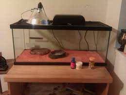 The perfect set up for box/tortoise. 20 Gallon Tank. Light on one end (put the water/food on the opposite end so it doesn't evaporate/wilt) add some décor and an aquarium scene on the back of the tank if you want to add more depth