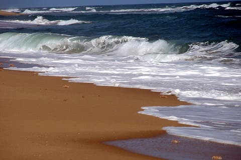 The tiny crabs crawling along this long shoreline in their war with the seawaves in the Battle of the Crabs