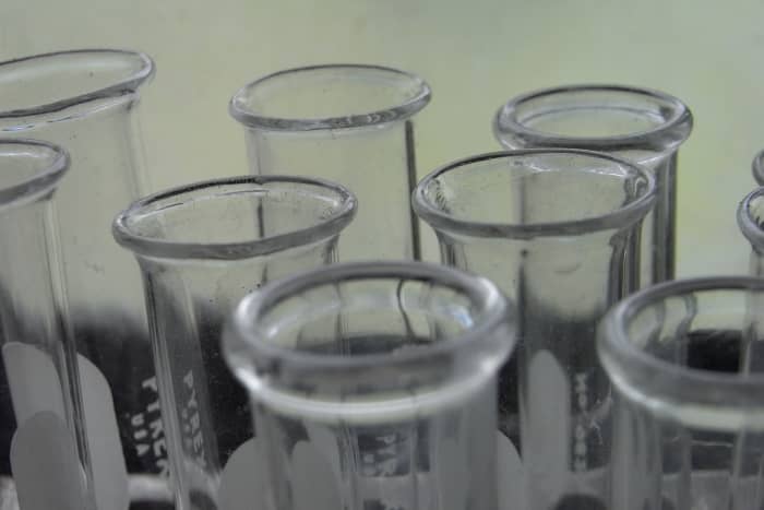 Biology is more than studying in a lab. (Even though lab work can actually be a lot of fun!)