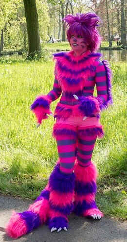 Cheshire Cat Costume - HubPages