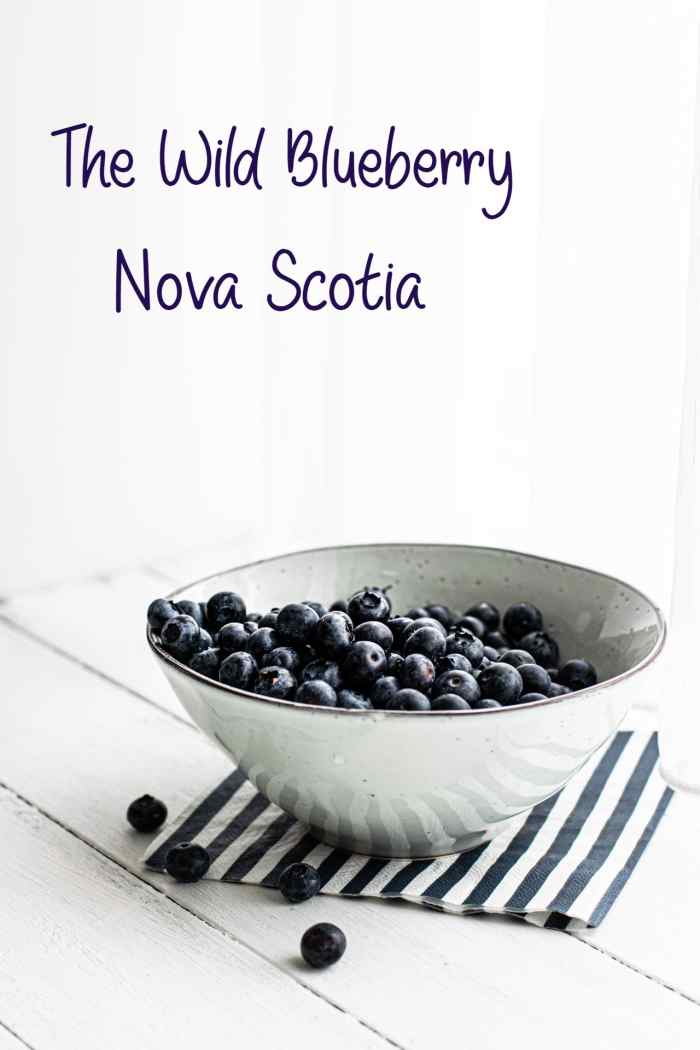 The Wild Blueberry of Oxford, Nova Scotia Delishably