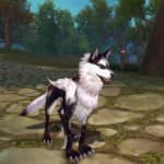 Forsaken World Pet Guide- Locations and Level Requirements - HubPages