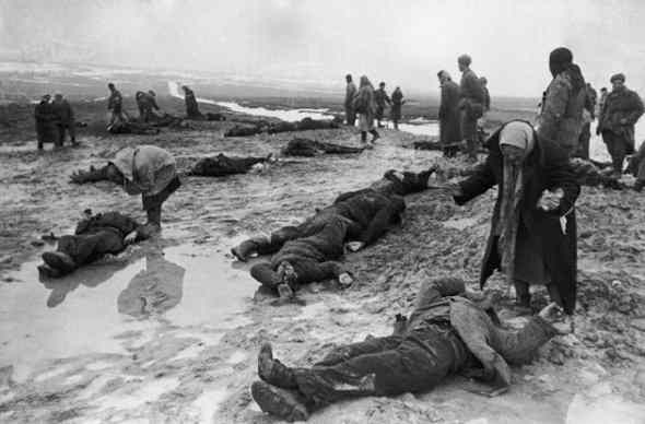 Many Americans and their allies gave their lives to defeat the military powers built by American Fascist sympathizers!