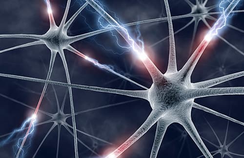 A concept is a process i.e. the activity of signals between the neurons in your brain to maintain the state of your thought. Your thought establishes a relation between objects.