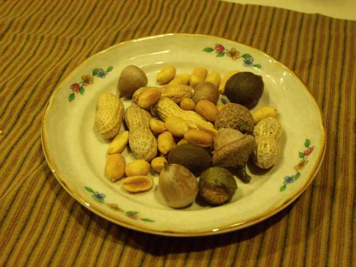 A variety of nuts for the birds can include peanuts, preferably unsalted, hickory nuts and acorns. Those nuts still in the shell can be placed in a zipper plastic bag wrapped in a kitchen towel. Grab a hammer and have fun!