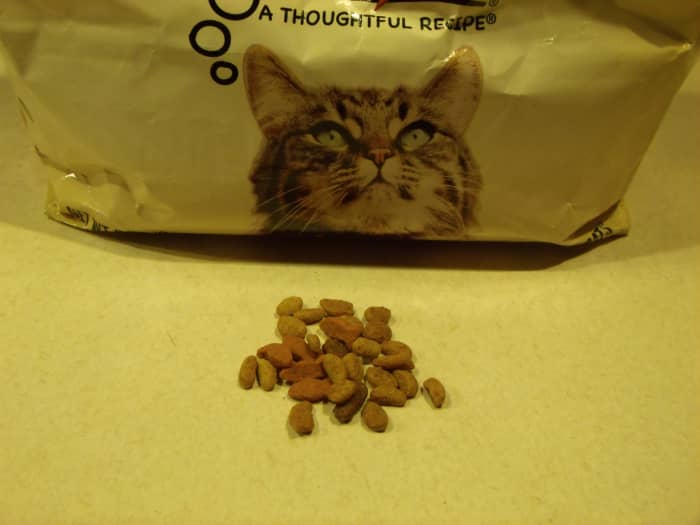 Just a few pieces of cat or dog food added to your bird seeds will give your feathered friends a protein-rich supplement. Protein will help them in their battle with the elements.