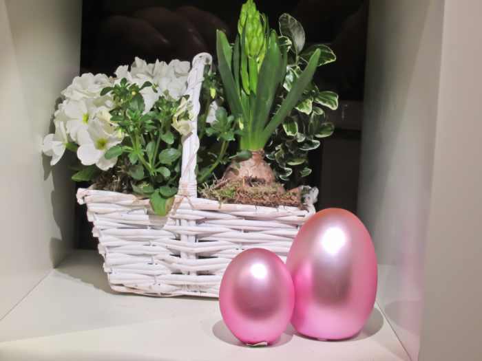 These eggs were bred by a metal and earth dragon. They hatched Easter 2011--during the year of the rabbit!